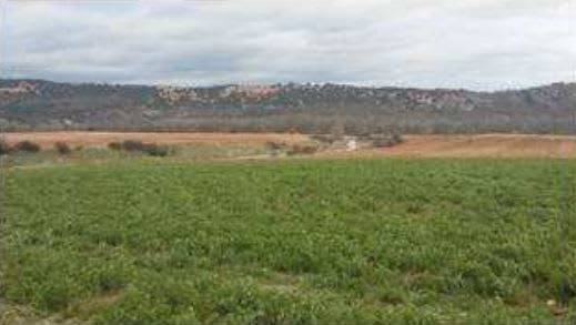 Terreno en Venta en Calle Real Baja en Membrillera