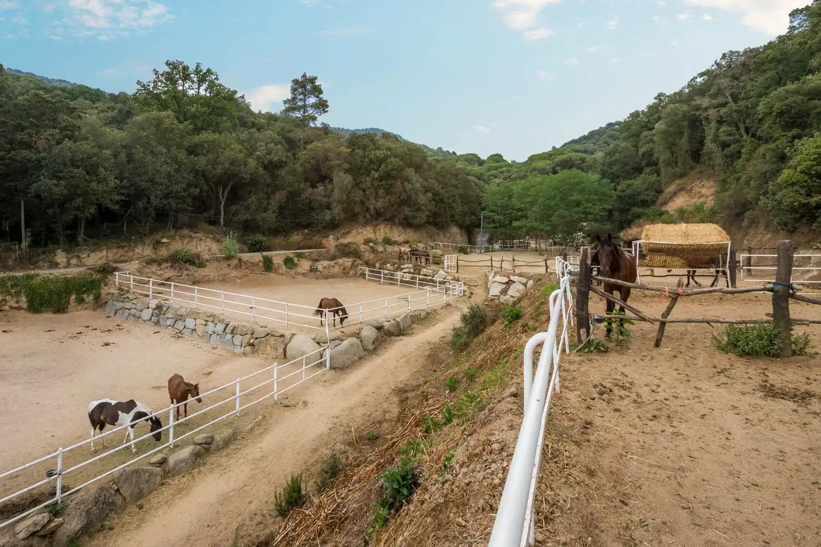 Vista exterior de Casa o chalet en venta en Sant Andreu de Llavaneres con Aire acondicionado, Calefacción y Jardín privado