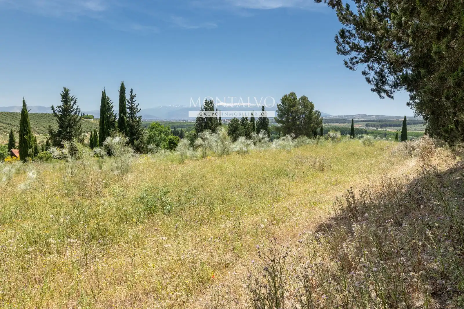 Land for sale in Pinos Puente