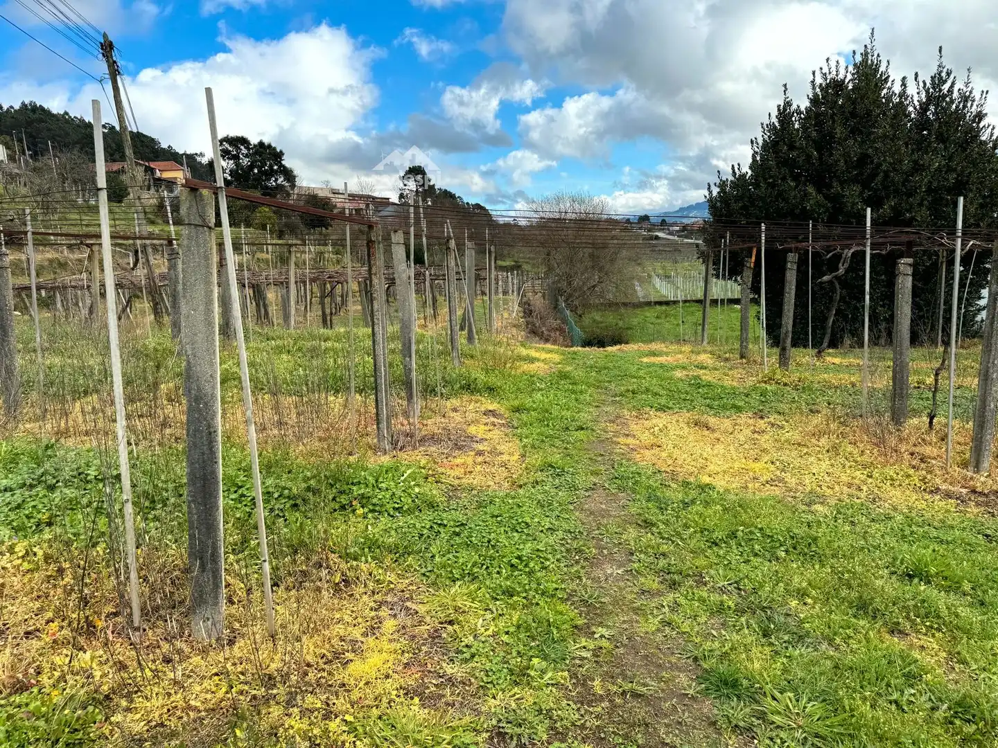 Rural land for sale in Arbo, imagen 33