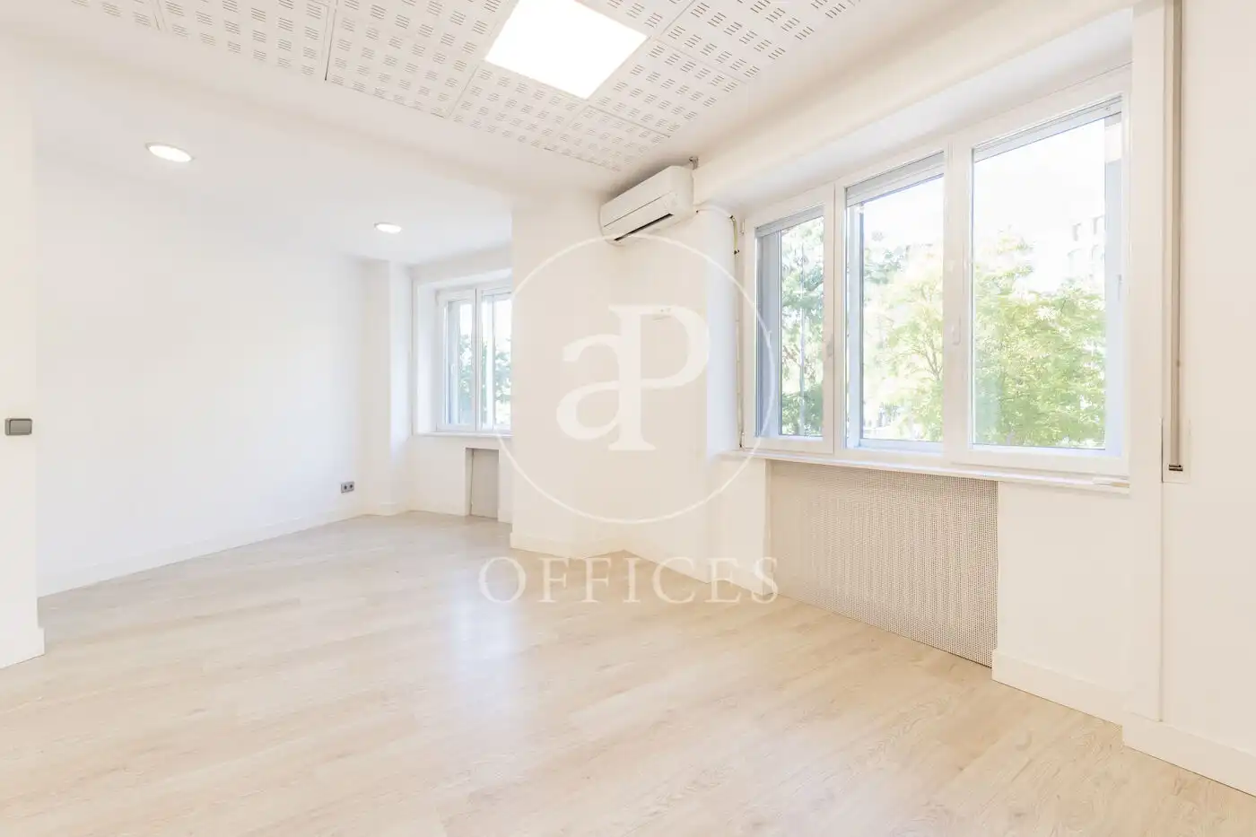 Office for rent in P.º de la Castellana, Castellana