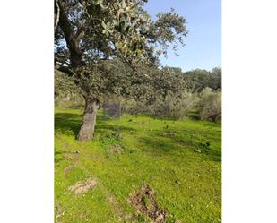 Finca rústica en venda en Montánchez