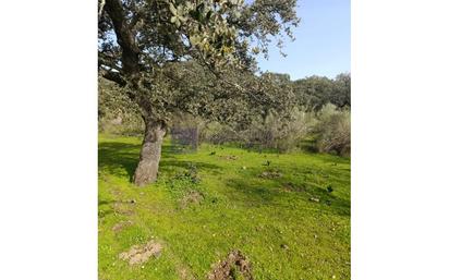 Finca rústica en venda en Montánchez