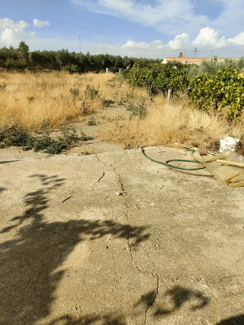 Finca rústica en venda en Cortes y Graena amb Jardí privat, Terrassa i Piscina
