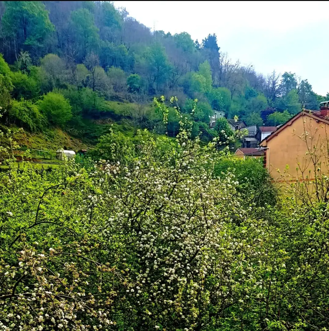 Vista exterior de Piso en venta en Aller con Calefacción, Trastero y Amueblado