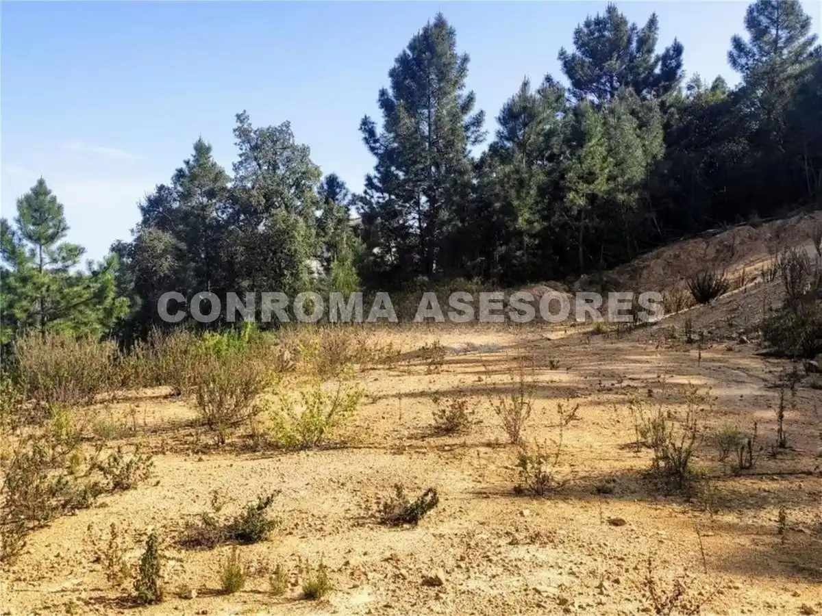 Terreno residenziale in vendita a Riudarenes, imagen 4