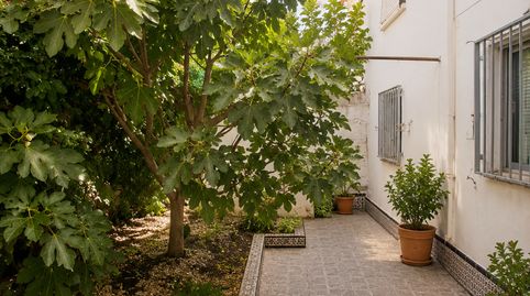 Foto 5 de Casa o chalet en venta en Baeza, Jaén