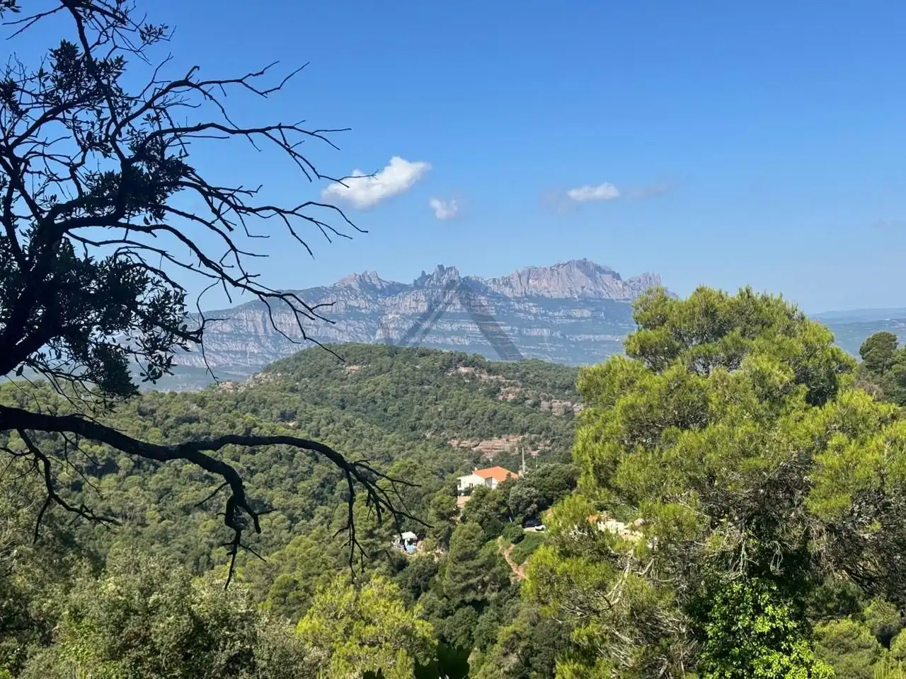 Terrenos y solares en venta en De La Corba, imagen 11