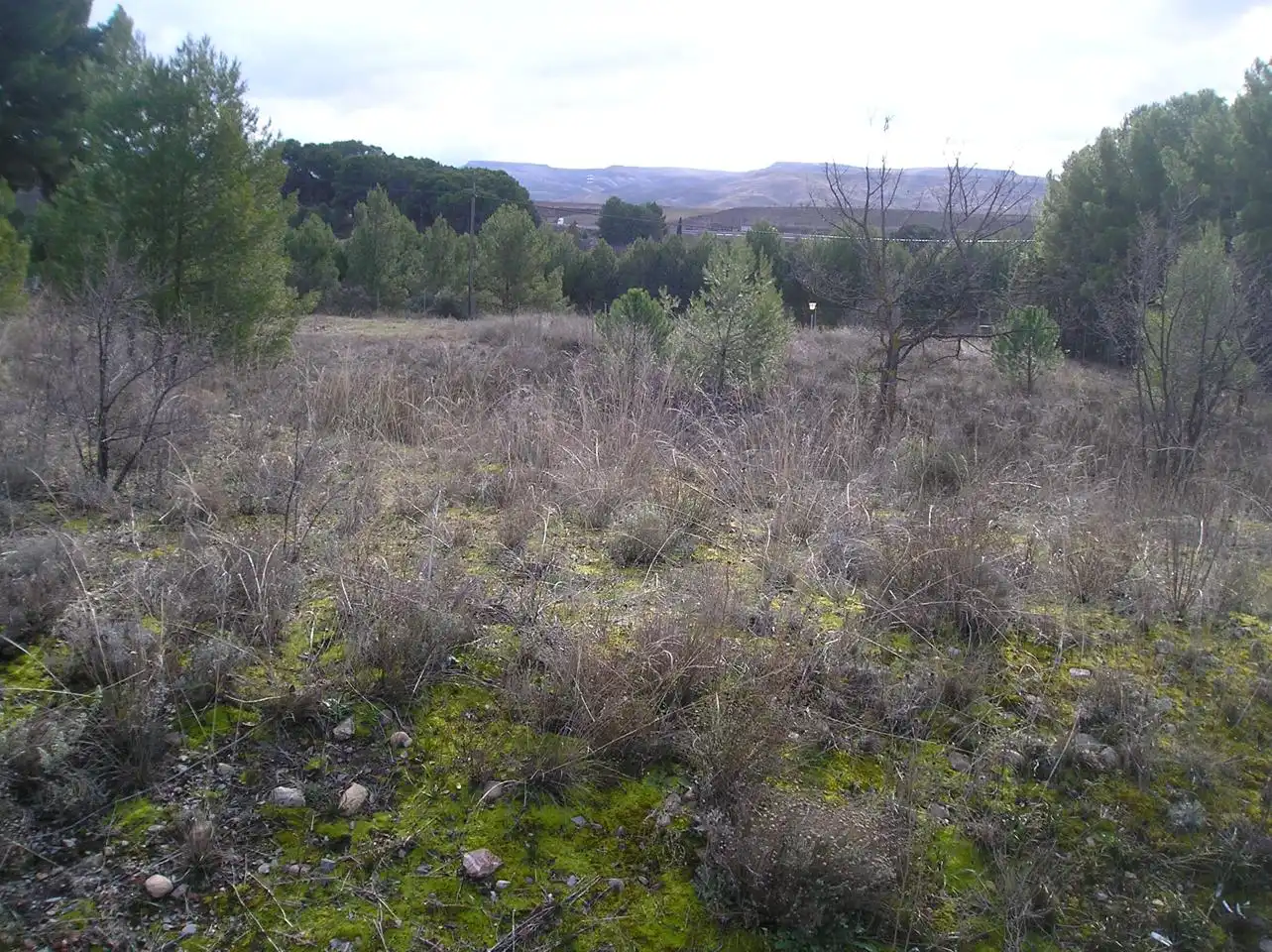 Residencial en venda en Calatayud