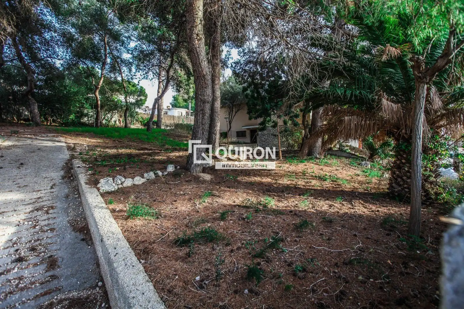 Terreno rustico in vendita a Segur de Calafell, imagen 16