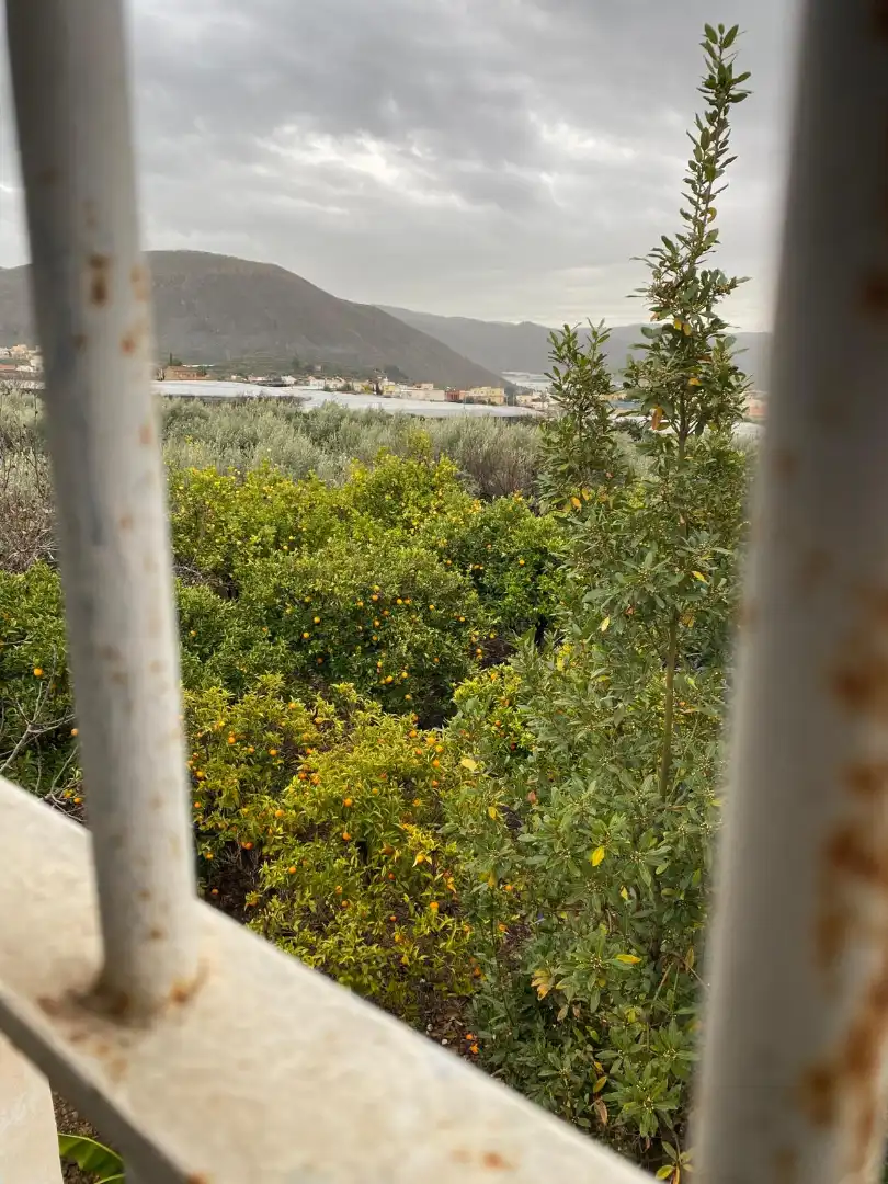 Terreno en venta en Berja