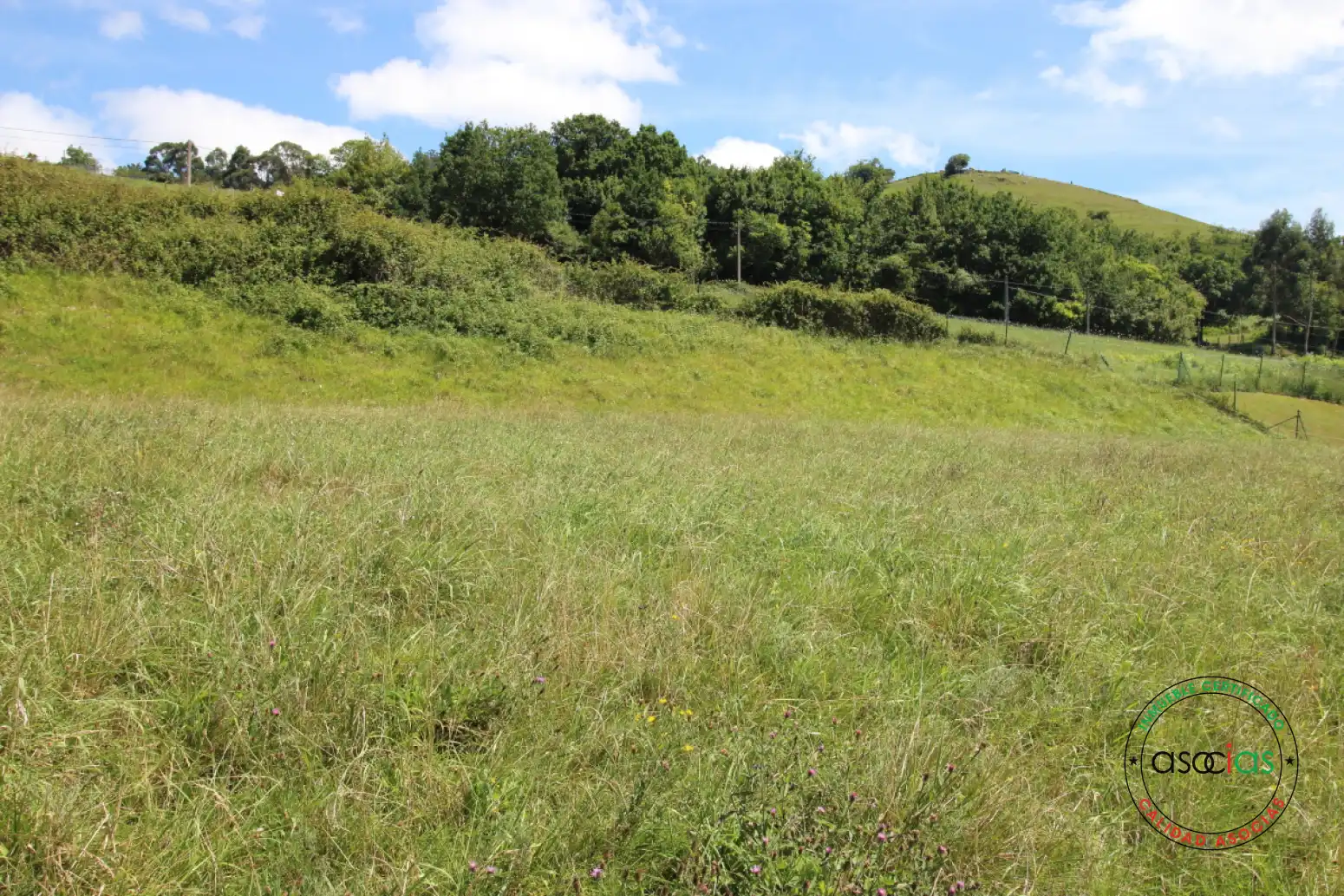 Land for sale in Gijón 