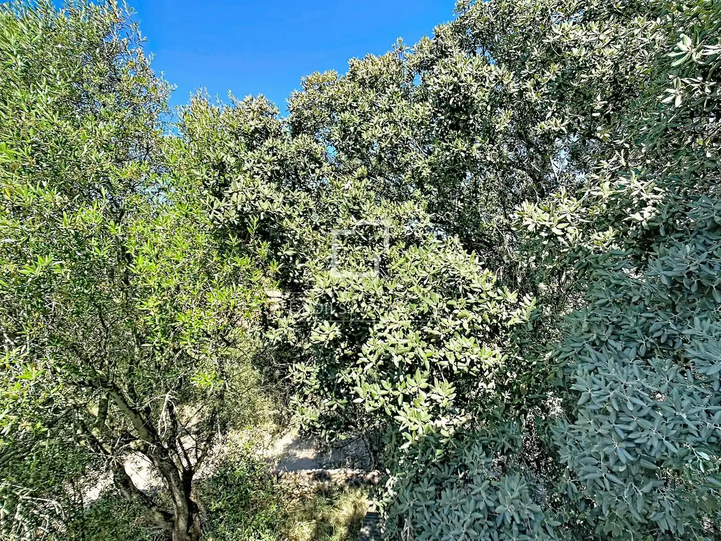 Finca rústica en venda en Ciutadella de Menorca amb Jardí privat i Traster