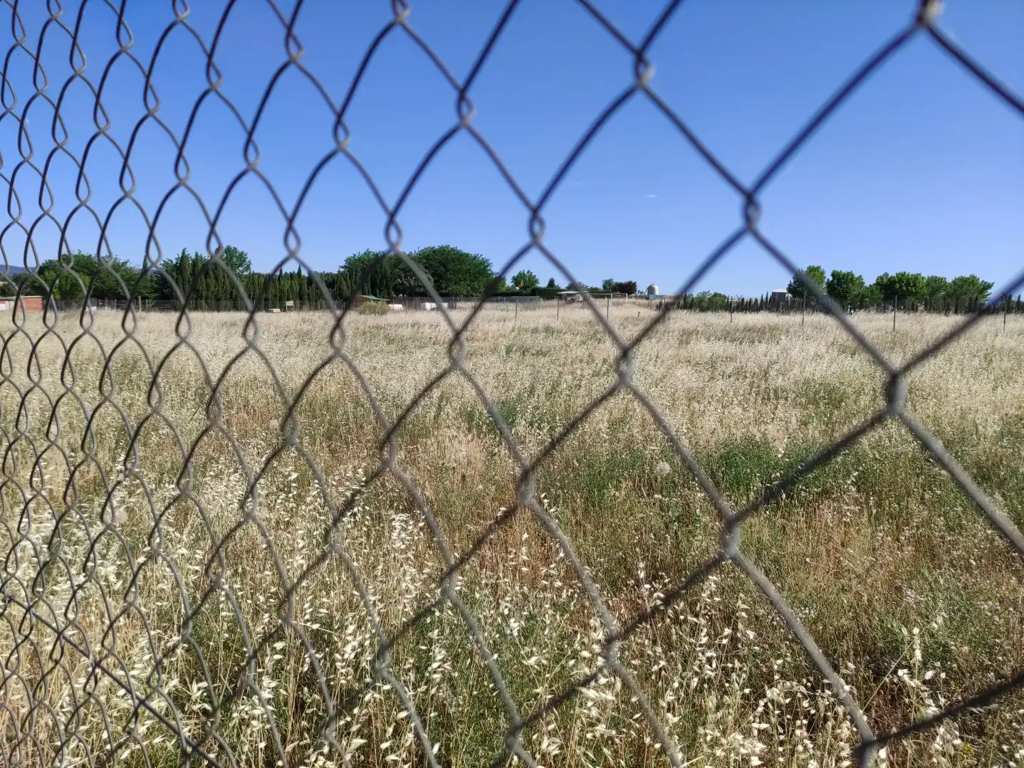 Terreni e lotti in vendita a Área Rural-Valverde-Las Casas, imagen 8