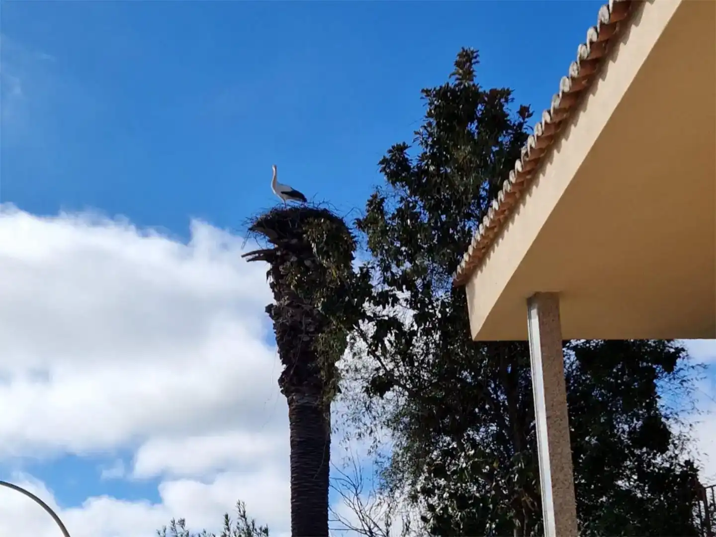 Vista exterior de Casa o chalet para compartir en Alcollarín con Aire acondicionado, Jardín privado y Amueblado
