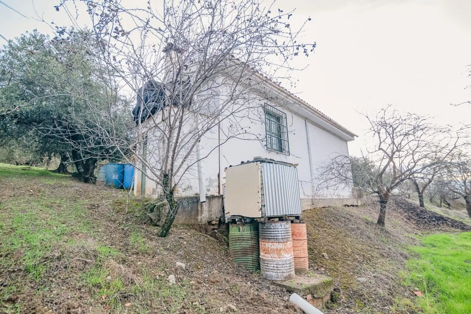 Lands and plots for sale in Autovia Pinos Genil, imagen 6