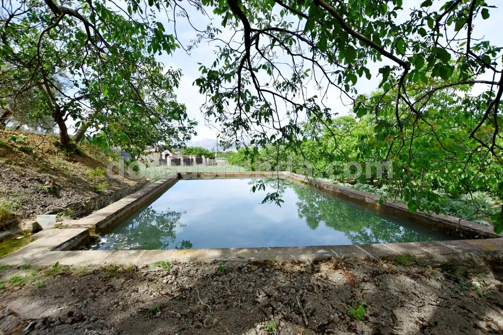 Swimming pool of Country homes for sale in Ronda  with Terrace, Storage room and Swimming Pool