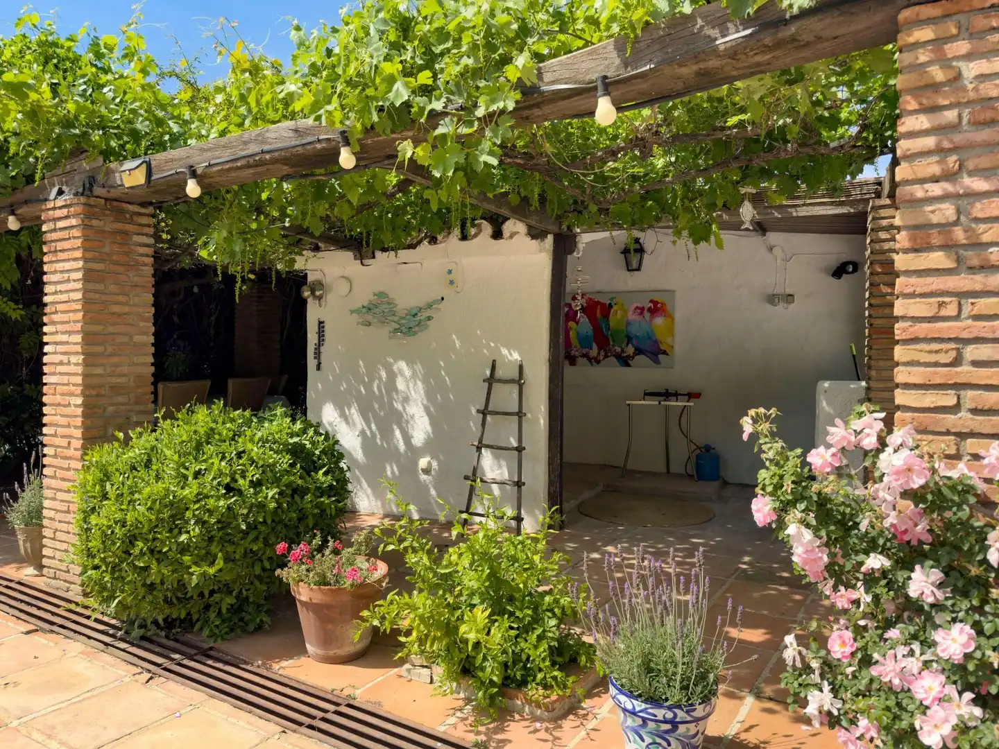 Casa rústica amb piscina en venda a Centro, imagen 72