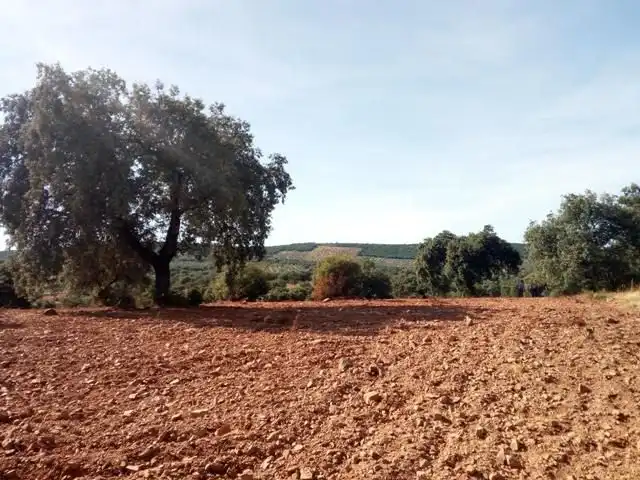 Terreny residencial en venda a Villanueva del Duque, imagen 22
