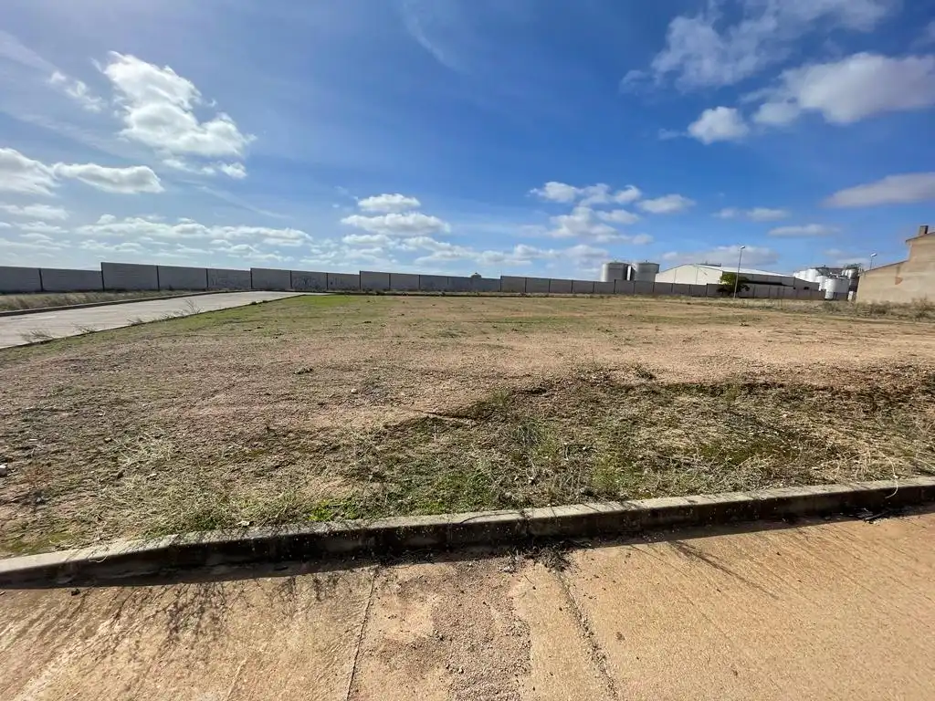 Terreny residencial en venda a Solana de los Barros, imagen 4
