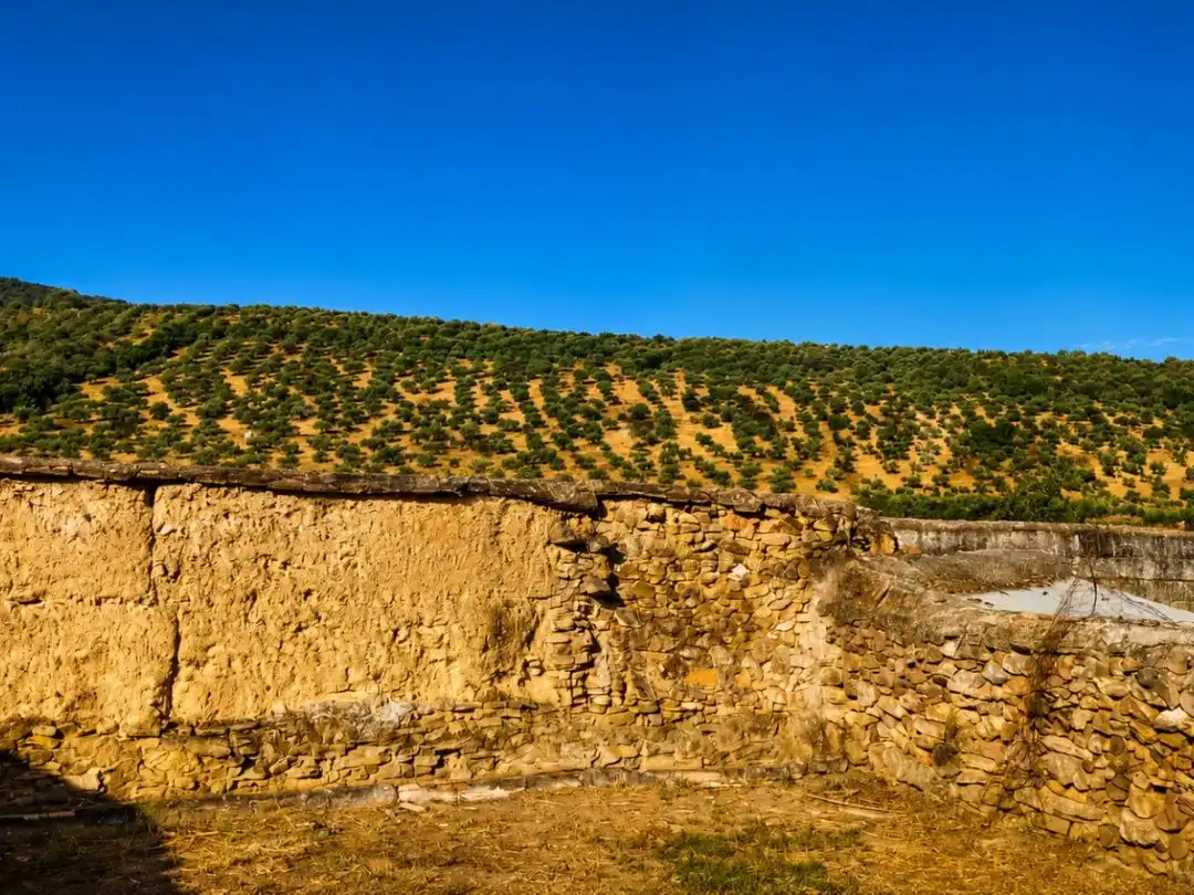 Vista exterior de Residencial en venda en La Lapa, Badajoz
