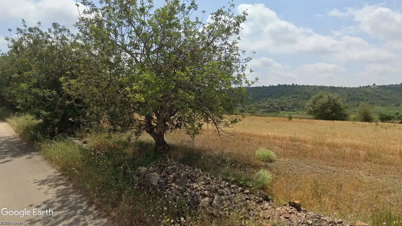 Terreno rustico in vendita a Traiguera, imagen 4