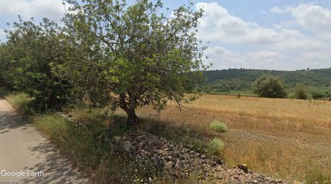 Foto 4 de Terreno en venta en N/a, -1, Traiguera, Castellón