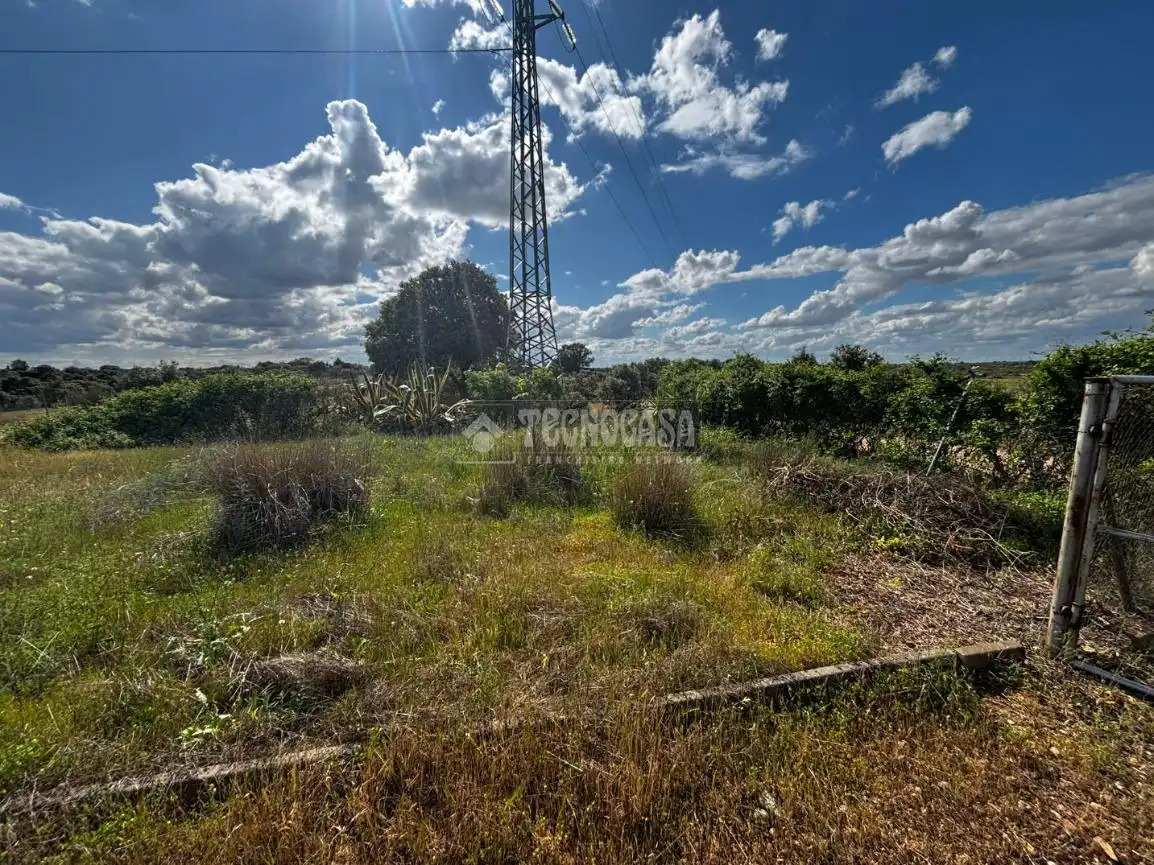 Finca rústica en venta en Carretera de Sevilla - Los Montitos