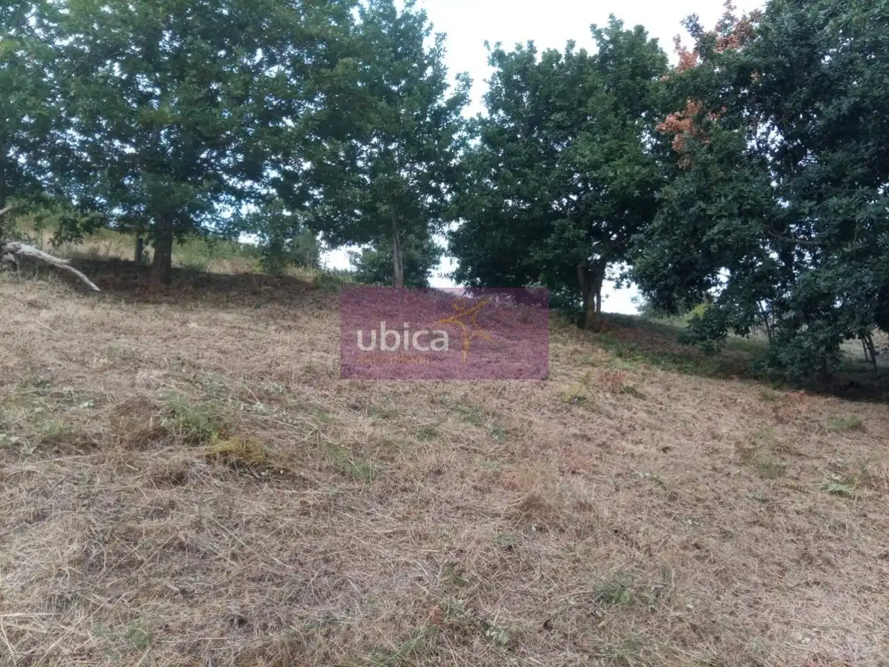 Terreno residencial en venta en Pazos de Borbén, imagen 6