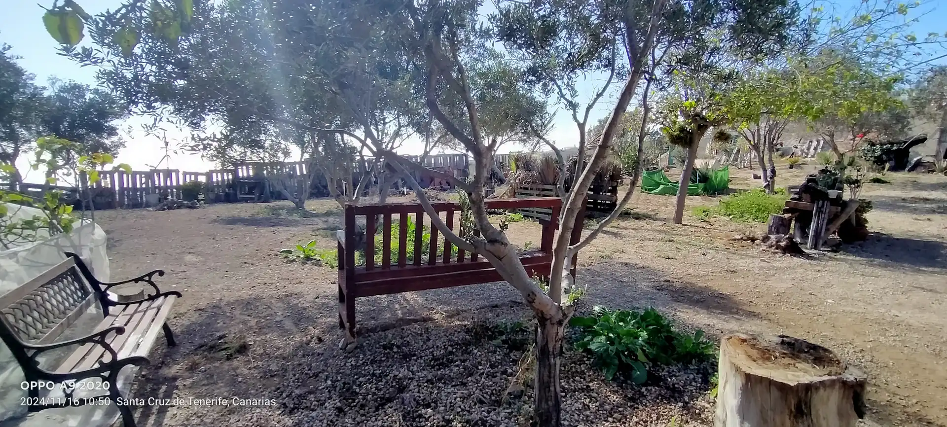 Jardín de Terreno en venta en Arico