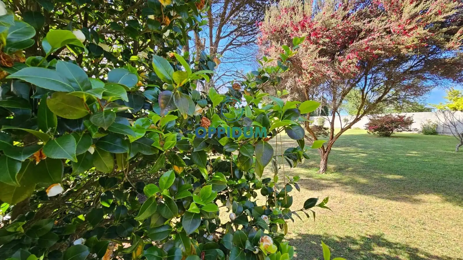 Terreni e lotti in vendita a Polígono 192 Parcela 414 AGRA DA LEIRA CARBALLO, imagen 7