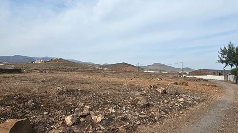 Foto 5 de Terreno en venta en Carrizal, Ingenio