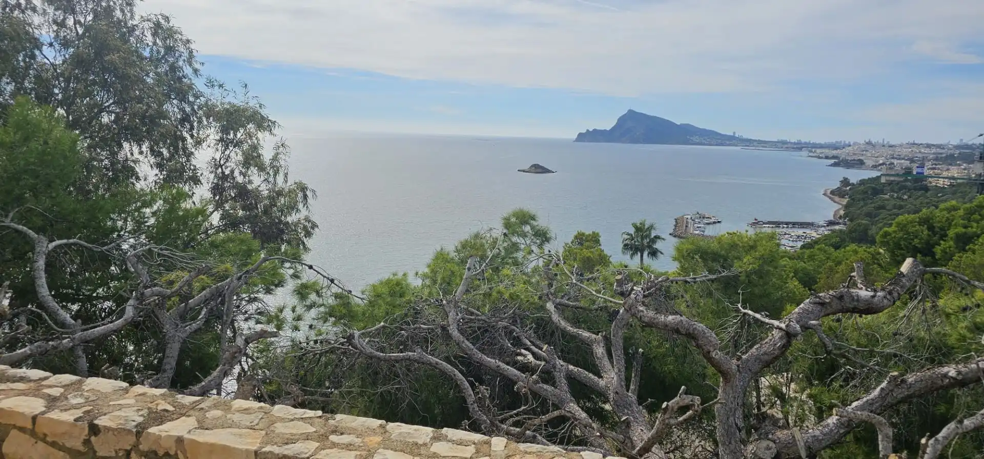 Lands and plots for sale in Mascarat, imagen 15