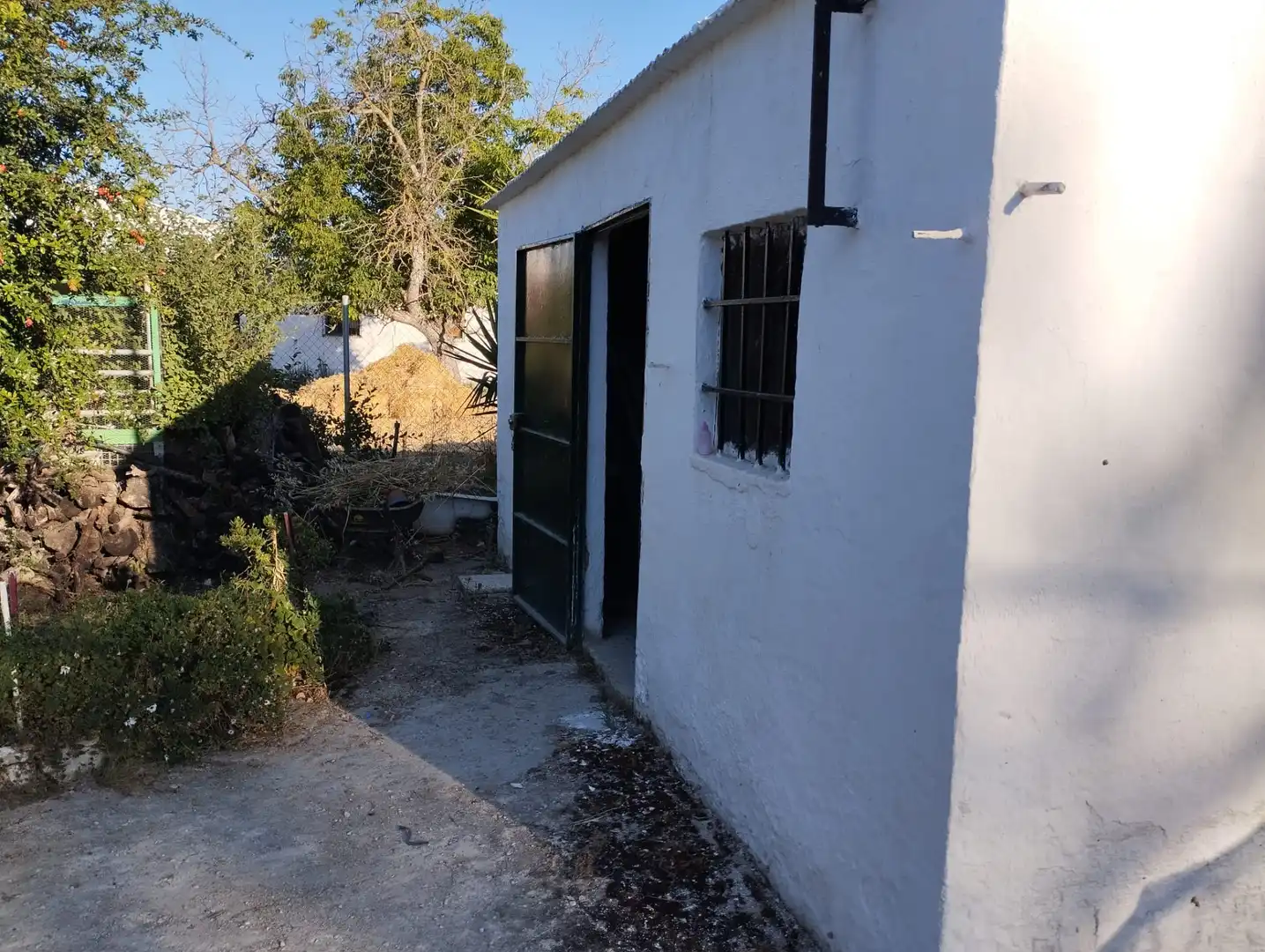 Terreny rústic en venda a Cabra, imagen 5