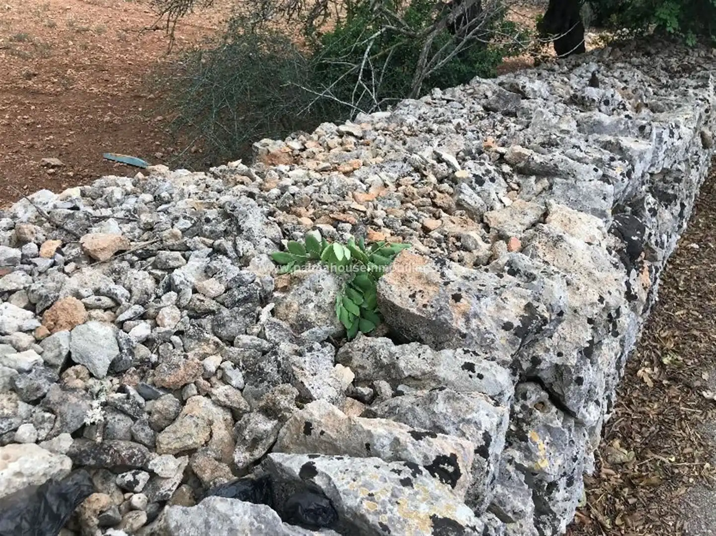 Wohnbaugrundstück zum Verkauf in Muro, imagen 18