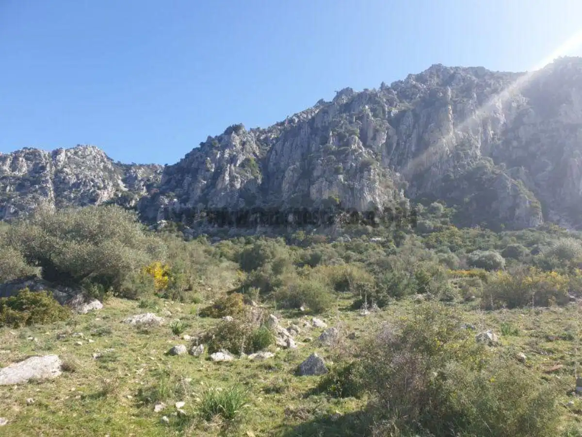 Residencial en venda a Casares, Málaga