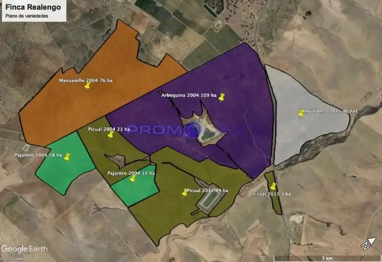 Residencial en venta en La Campana