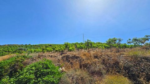 Foto 5 de Terreno en venta en Diseminados Diseminados, Benamargosa, Málaga
