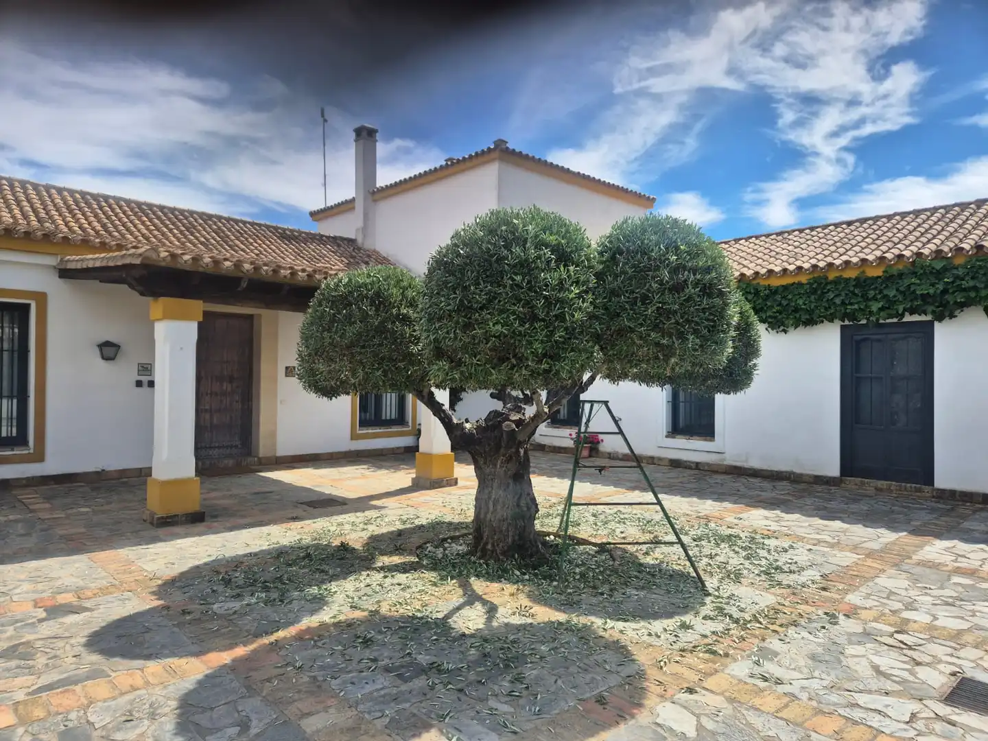 Jardí de Finca rústica en venda en Puerto Serrano amb Aire condicionat, Calefacció i Jardí privat