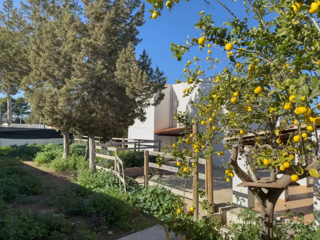 Villa zum Verkauf in Sant Agustí-Cala de Bou, imagen 4