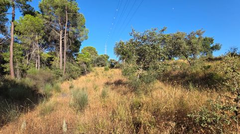 Foto 3 de Terreno en venta en Villablanca, Huelva