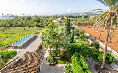 Garden of Attic for sale in  Palma de Mallorca  with Air Conditioner, Swimming Pool and Balcony