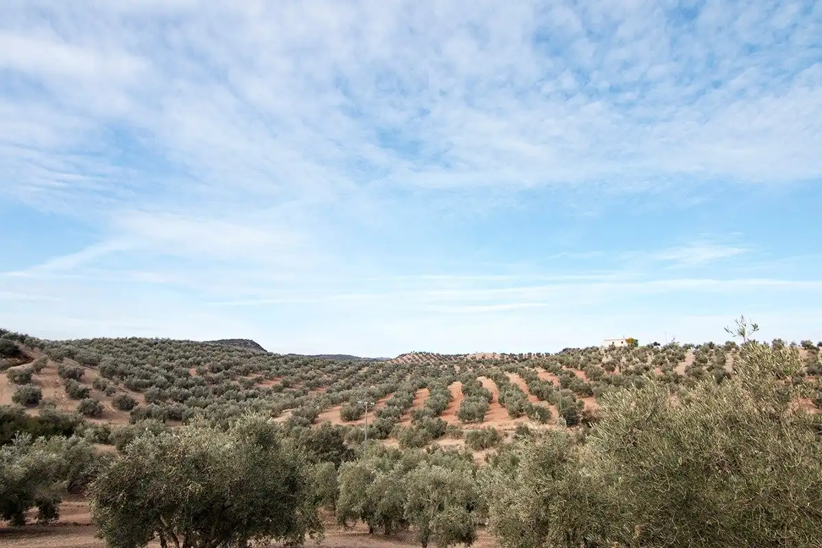 Finca rústica en venda en Loja
