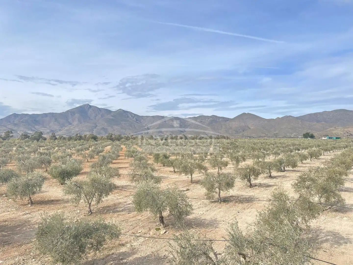 Terreno en venta en Uleila del Campo
