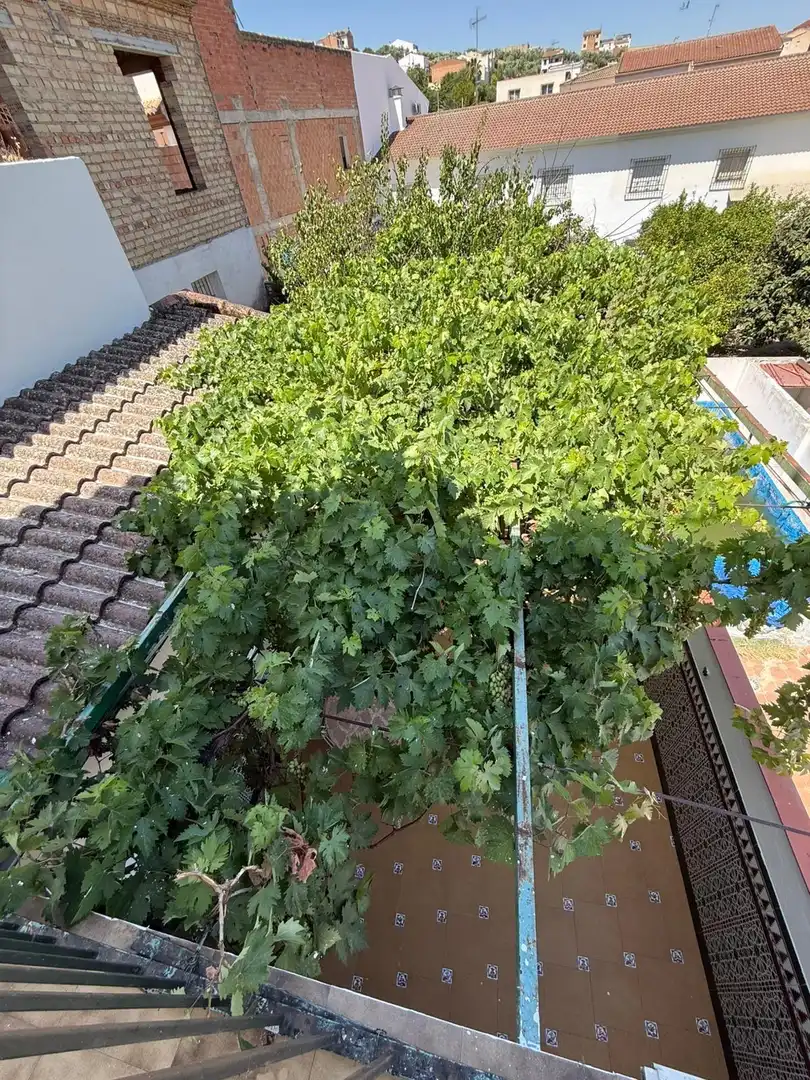 Haus mit Terrasse zum Verkauf in Calle de los Molinos 52, imagen 8