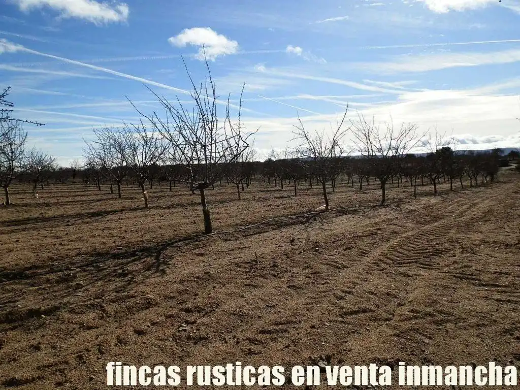 Terreno en venta en Mora