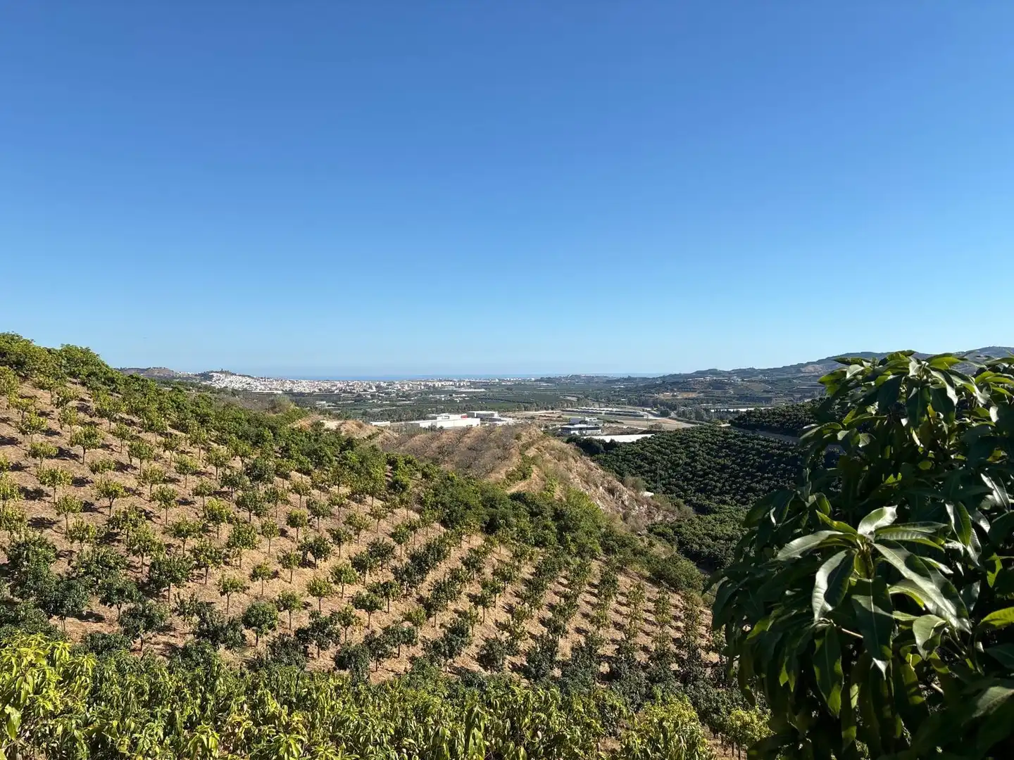 Casa en venta en Vélez-Málaga ciudad, imagen 28