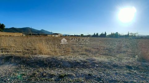 SE VENDE PARCELA RUSTICA EN HONDON DE LAS NIEVES ZONA LA SOLANA, imatge 3