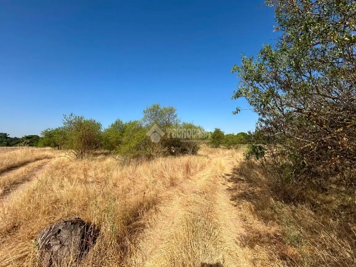 Rural land for sale in Laguna de Duero, imagen 16