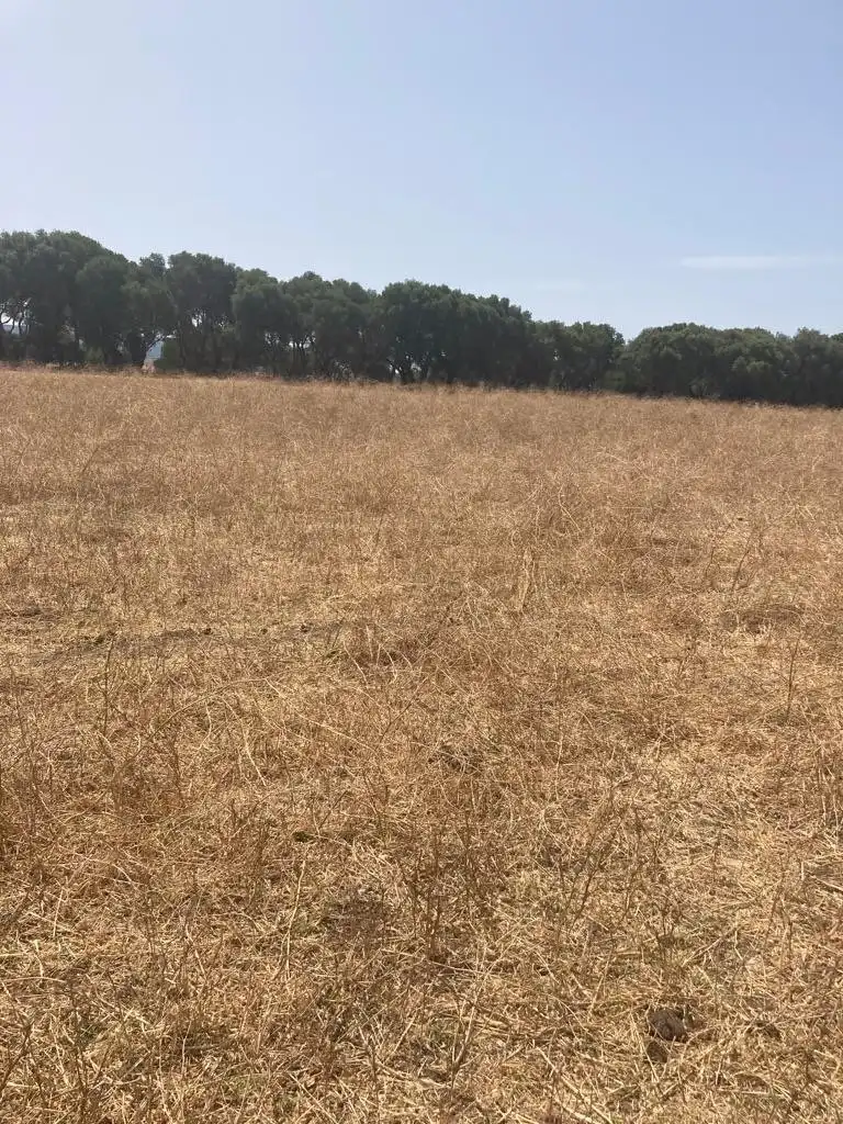Casa rústica en venda a Barbate ciudad
